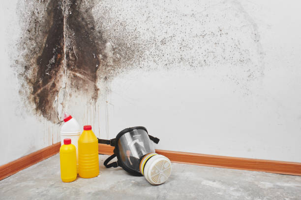 Best Crawl Space Mold Removal  in Hughesville, MD