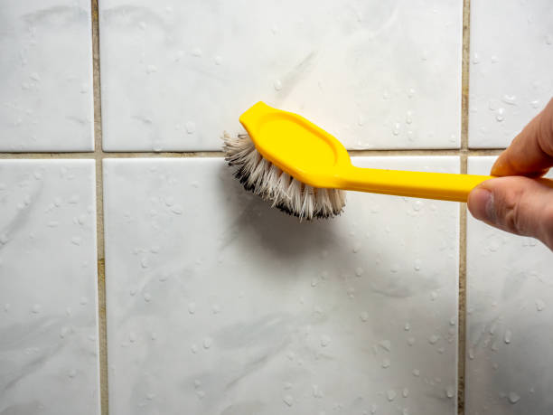 Best Same-Day Mold Removal  in Hughesville, MD