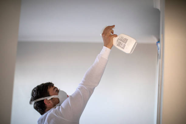 Best Emergency Mold Removal  in Hughesville, MD