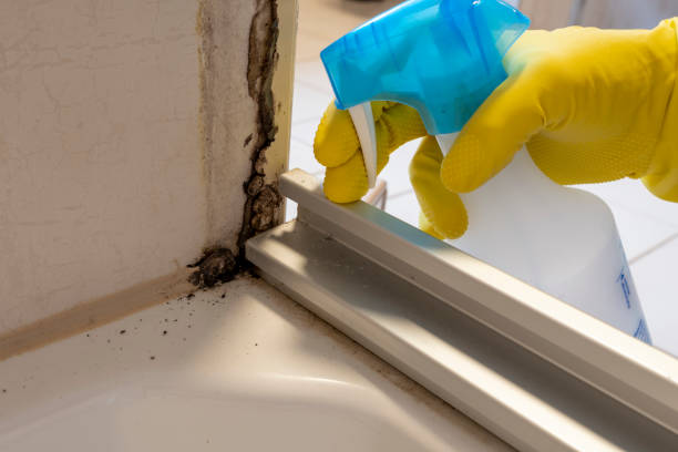 Best Residential Mold Removal  in Hughesville, MD